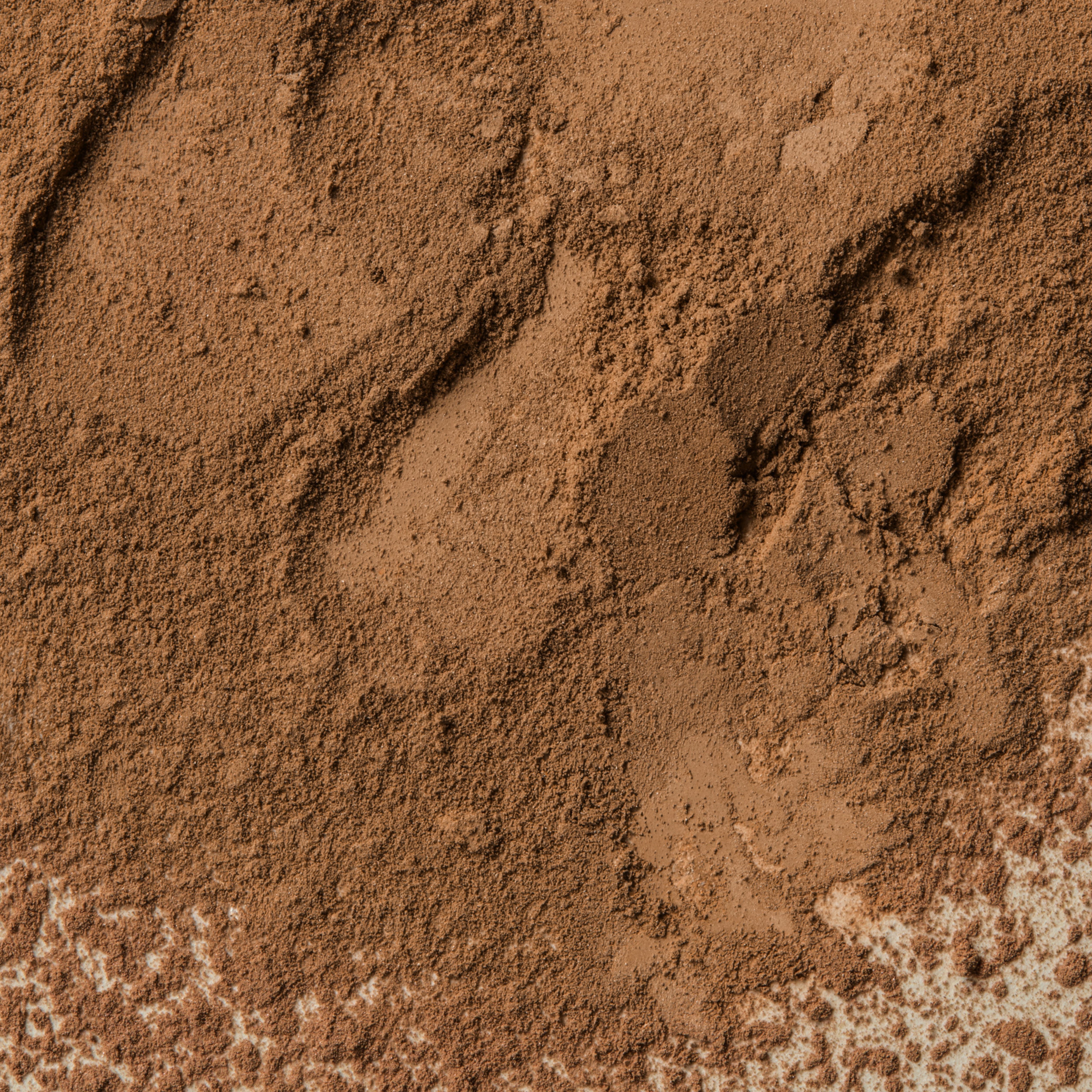 THE TRYSTAL, BRONZING MINERALS No.2 SUN KISS + KABUKI BRUSH